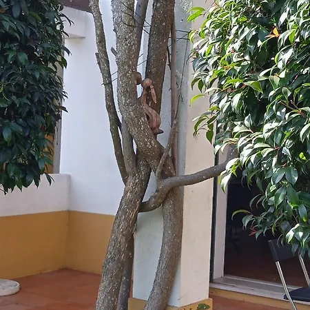 Casa Do Damasquero 別荘 *